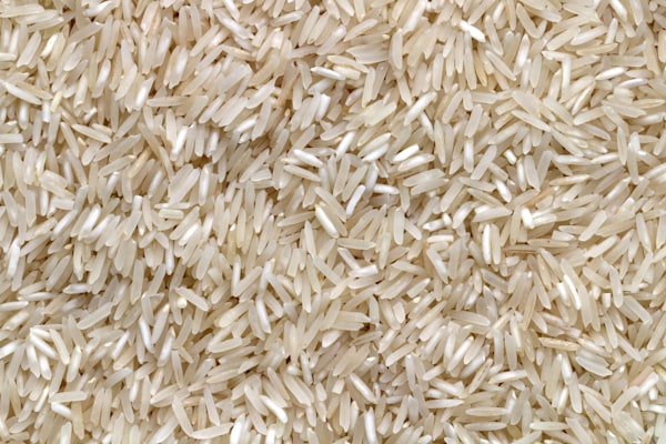 Sustainable Rice Production: Environmental Impact and Solutions